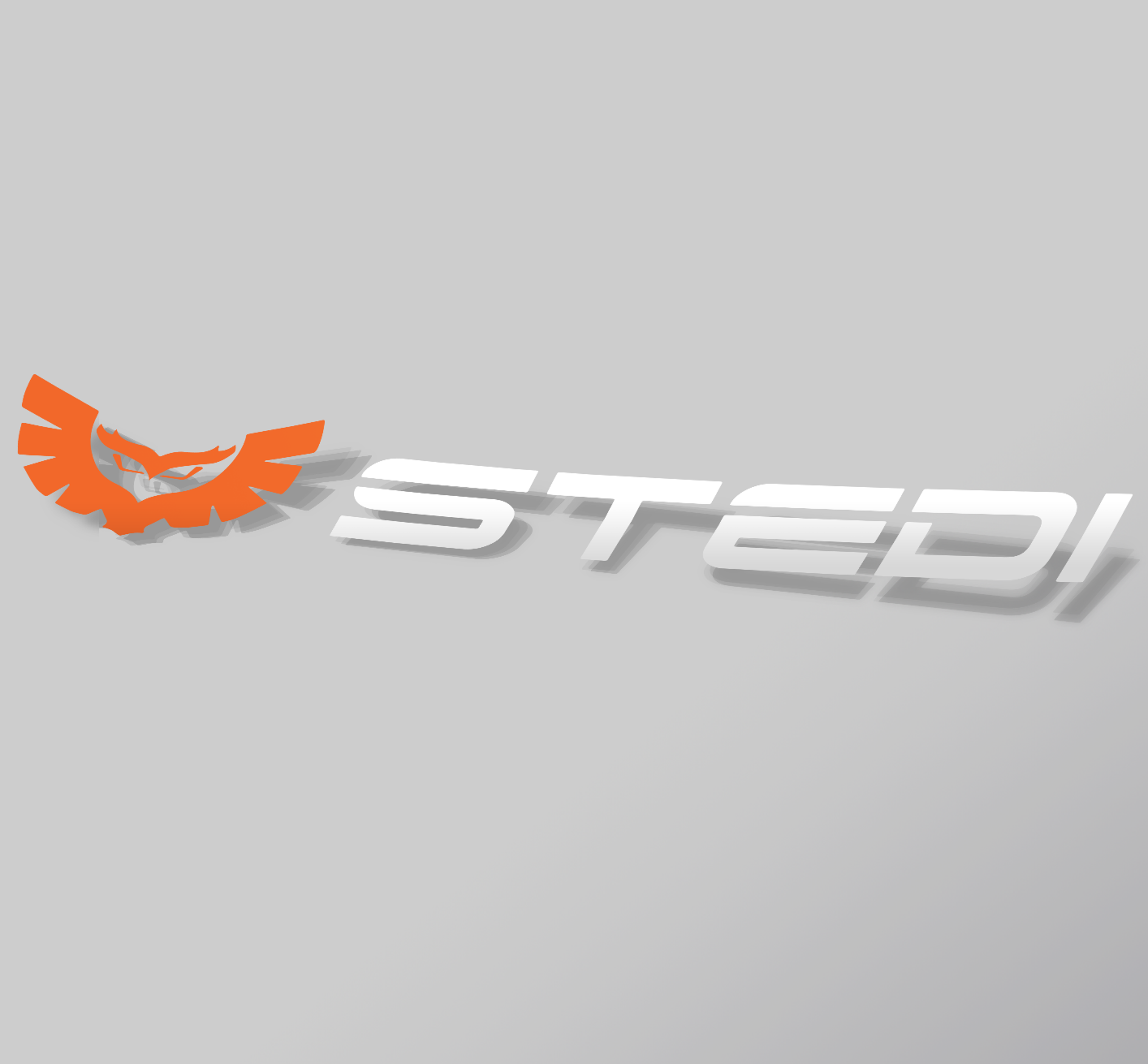 STEDI Sticker - Weiß/Orange
